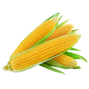 Atlas Corn Flour